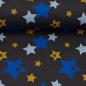 Preview: Baumwolljersey Sterne Senf/Blau/Weiß auf Anthrazit von Cherry Picking by Swafing
